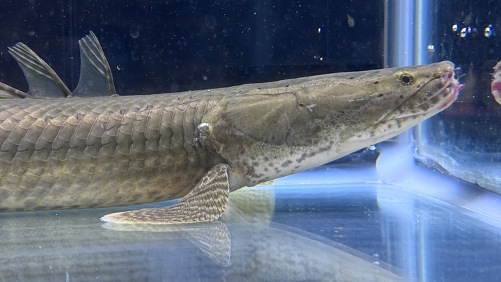 aquastyleg.base.shop/items/107...