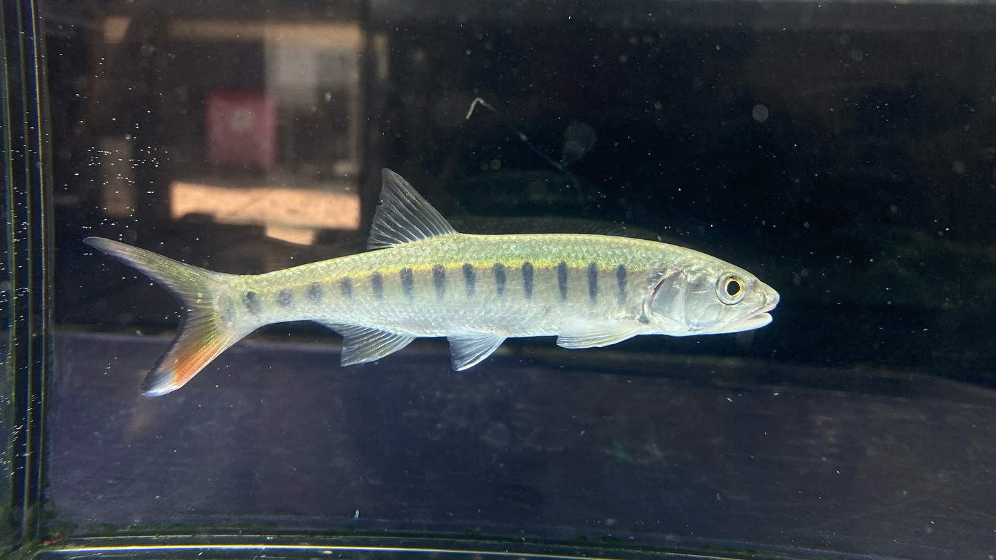 朝からバッタバタしております🦗が