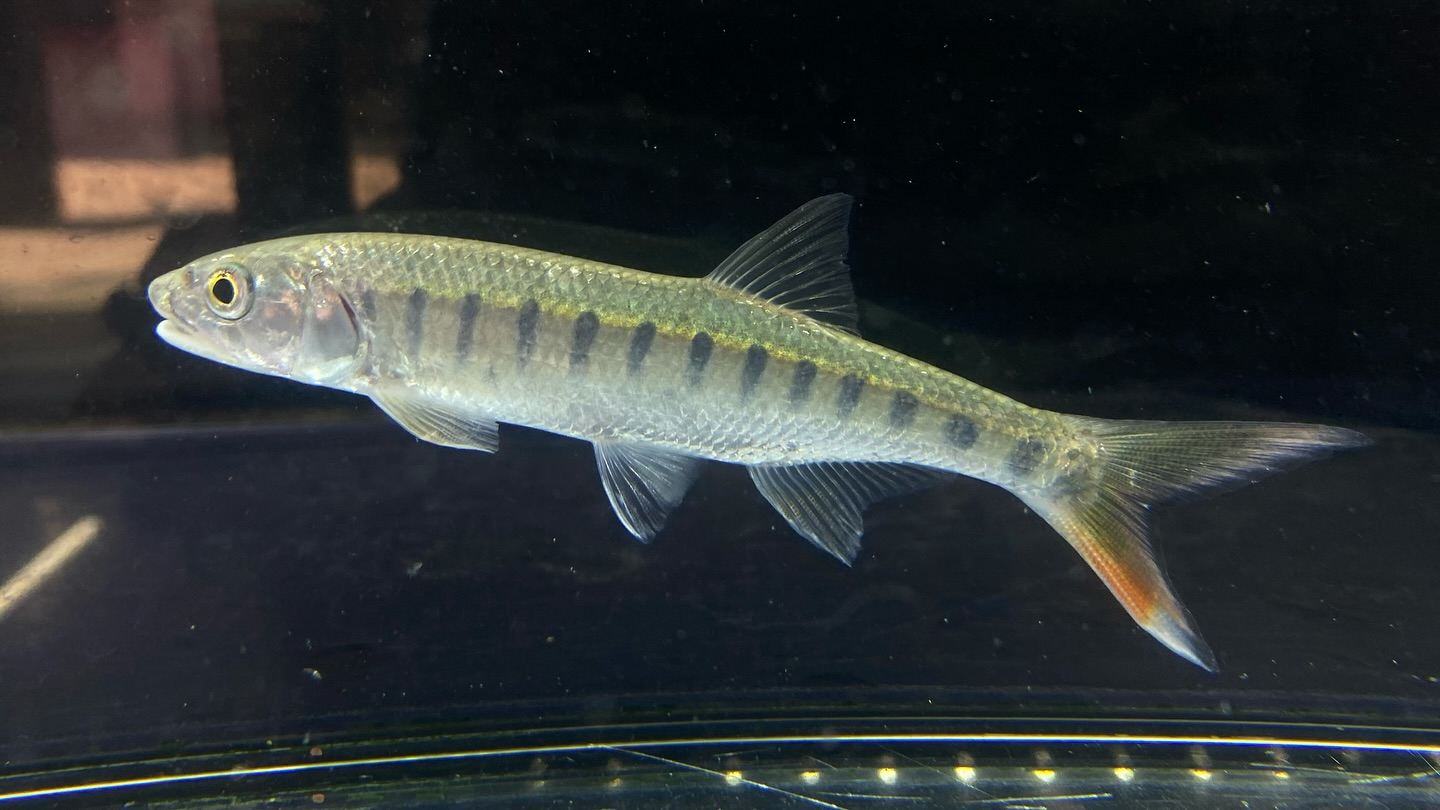 朝からバッタバタしております🦗が