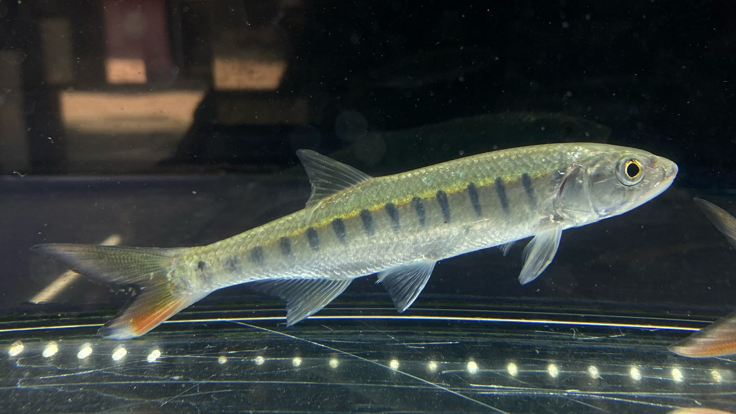 朝からバッタバタしております🦗が