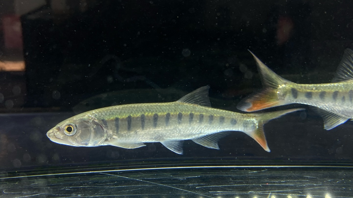 朝からバッタバタしております🦗が