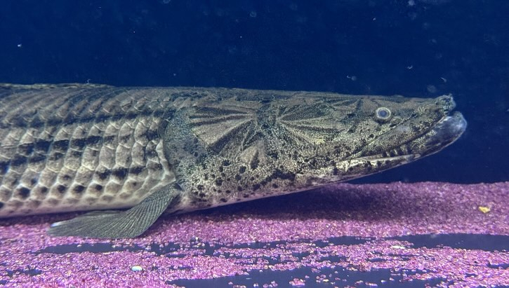 aquastyleg.base.shop/items/107...