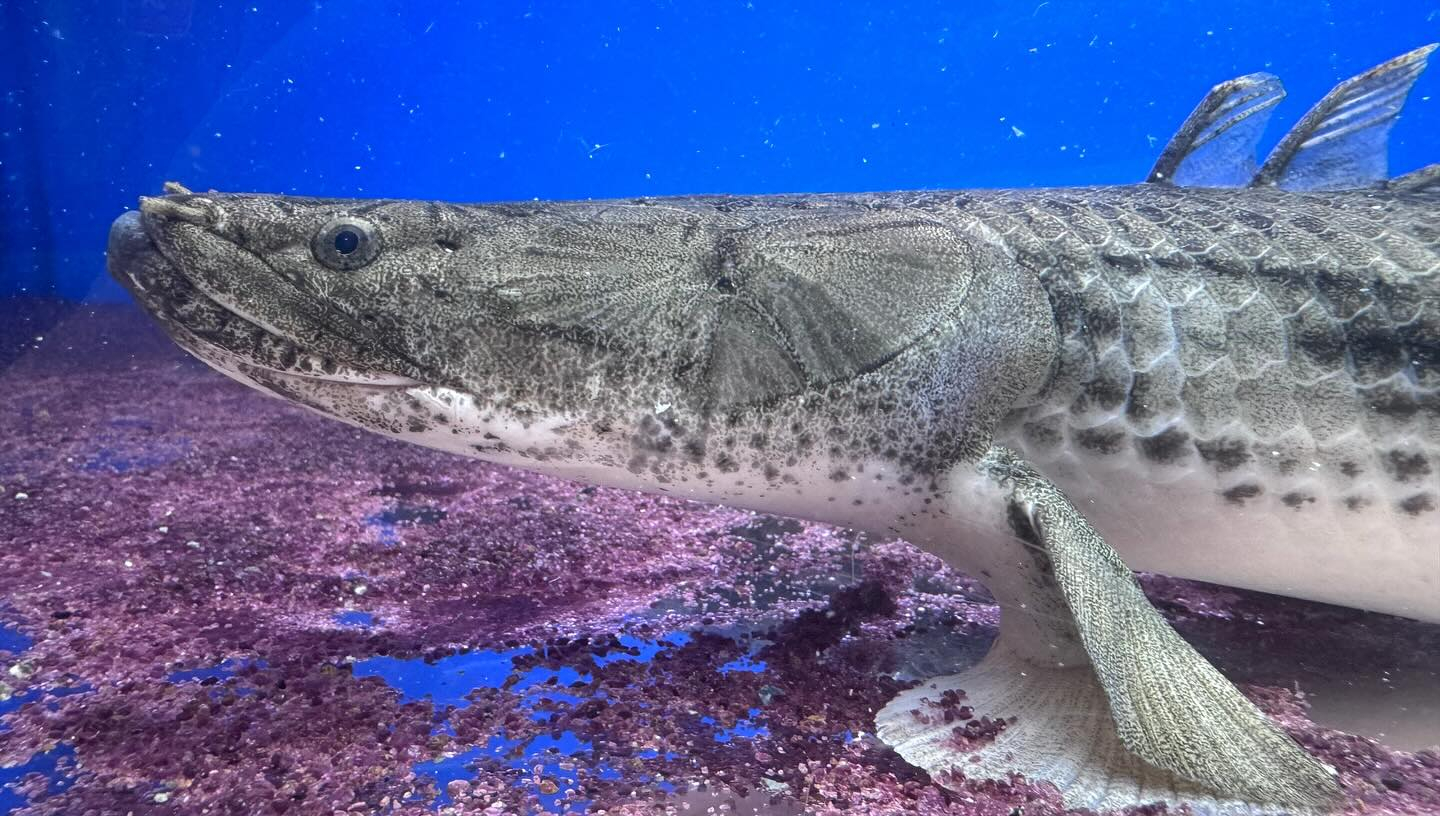 aquastyleg.base.shop/items/100...