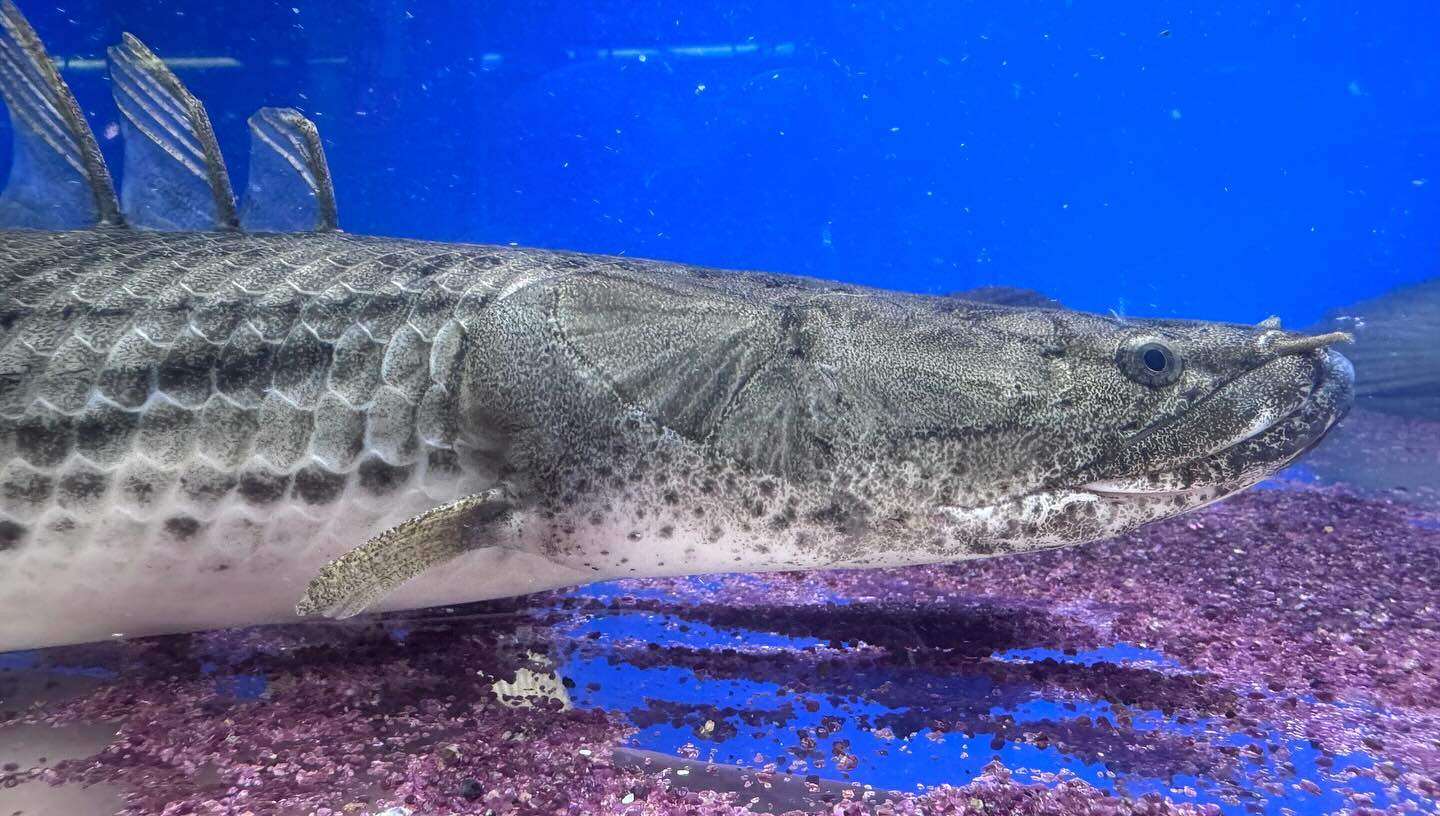 aquastyleg.base.shop/items/100...