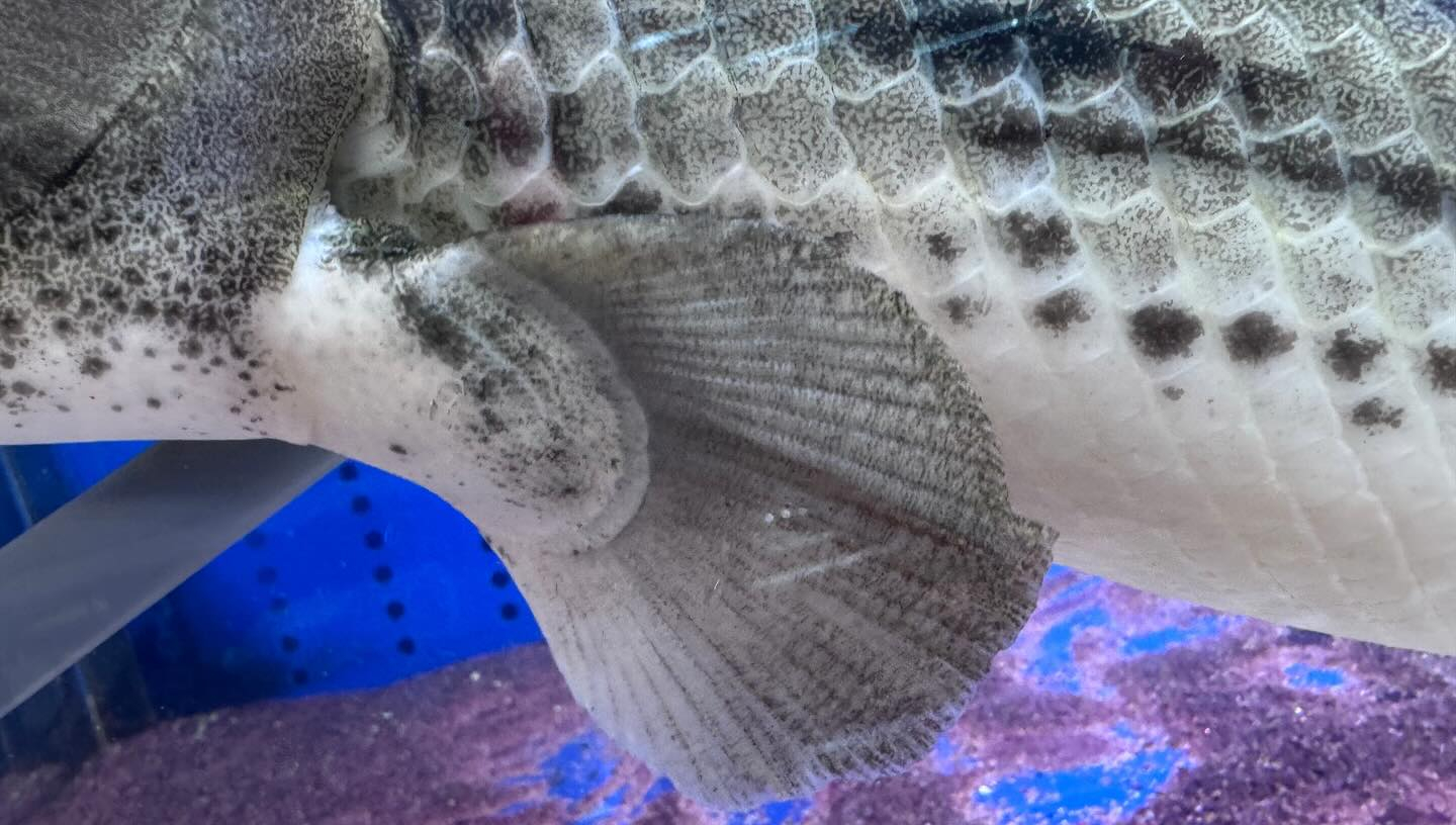 aquastyleg.base.shop/items/100...