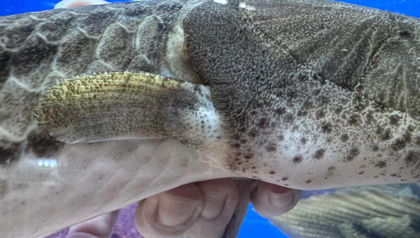 aquastyleg.base.shop/items/100...