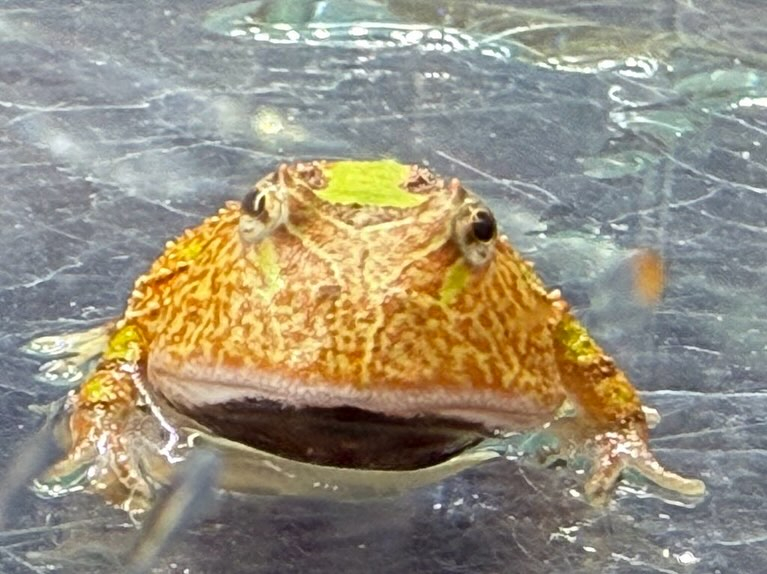 aquastyleg.base.shop/items/110...