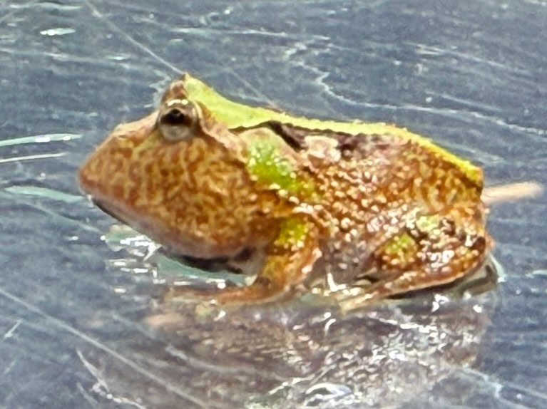 aquastyleg.base.shop/items/110...