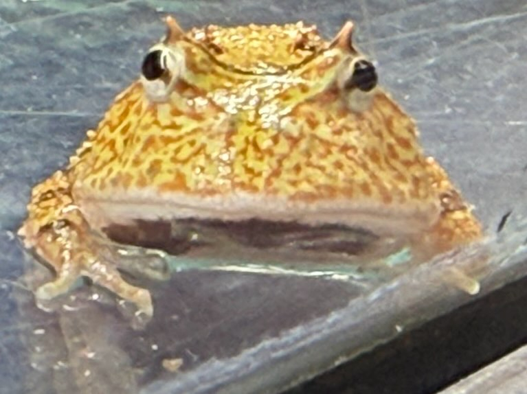 aquastyleg.base.shop/items/110...