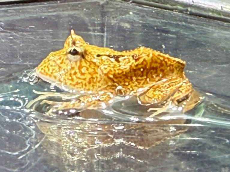 aquastyleg.base.shop/items/110...