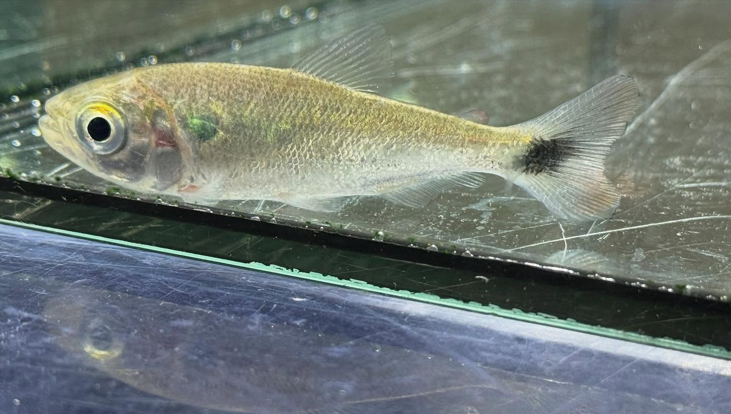 aquastyleg.base.shop/items/110...