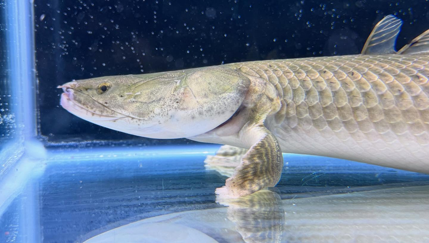 aquastyleg.base.shop/items/111...