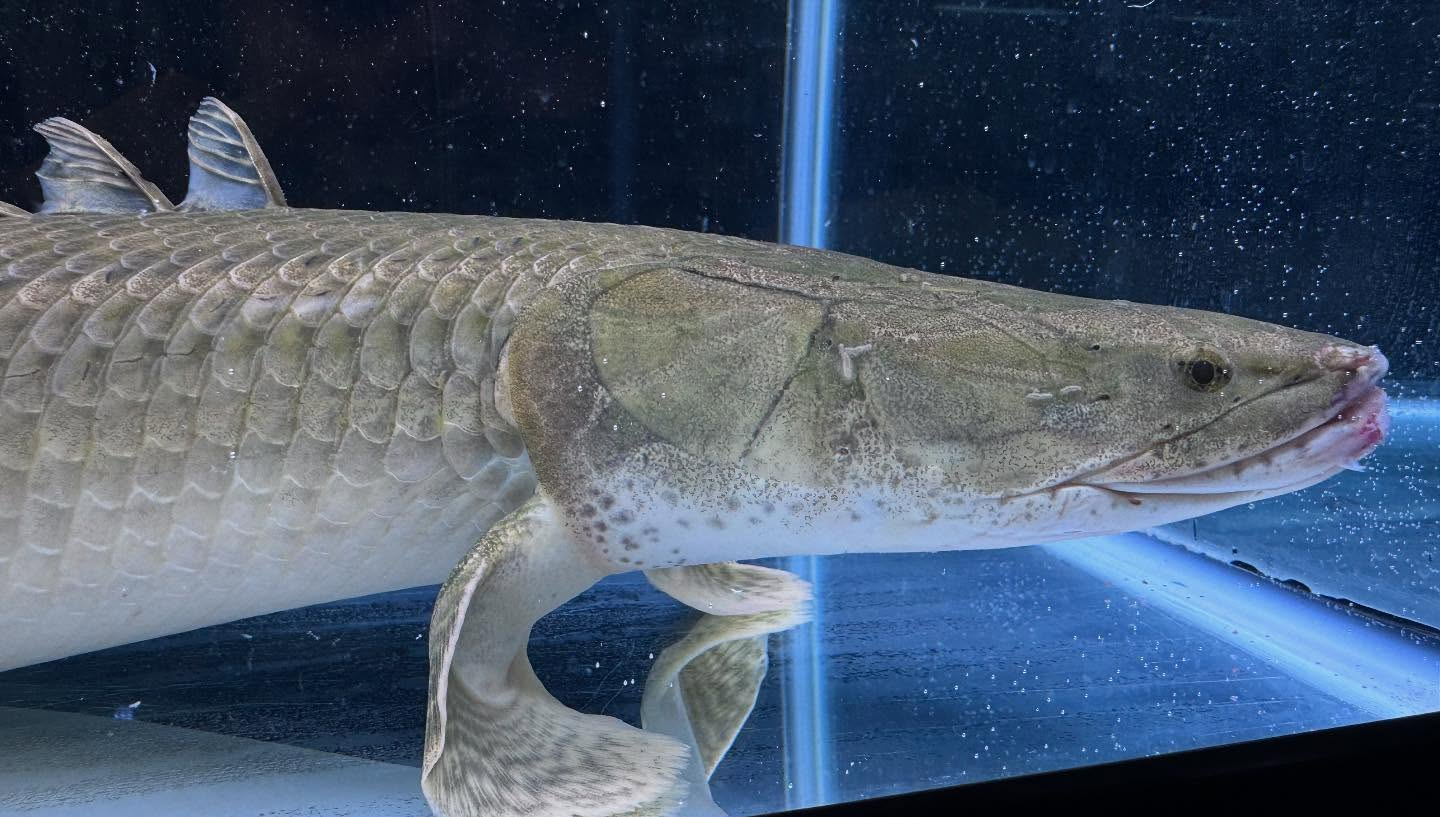 aquastyleg.base.shop/items/111...