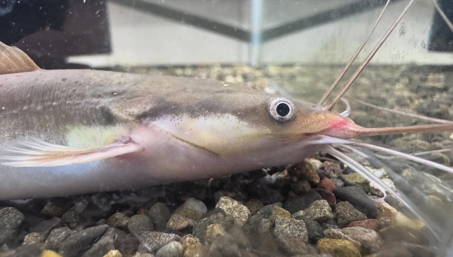 aquastyleg.base.shop/items/100...