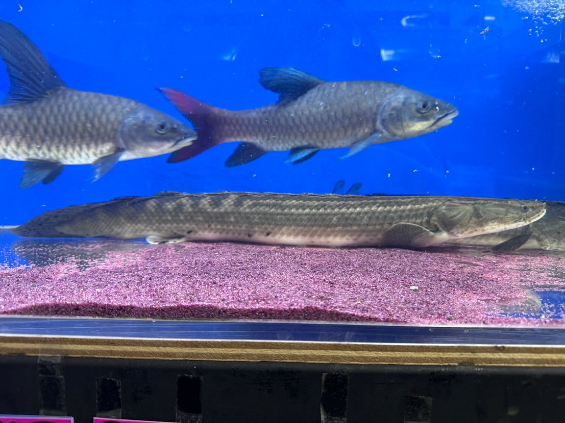 🏖SUMMER SALE☀️