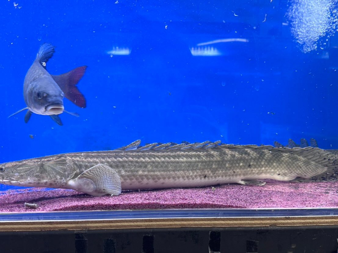 🏖SUMMER SALE☀️