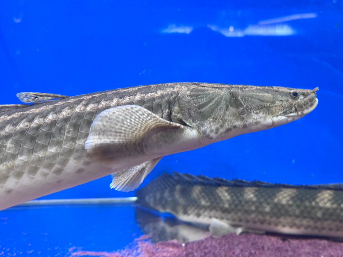 🏖SUMMER SALE☀️