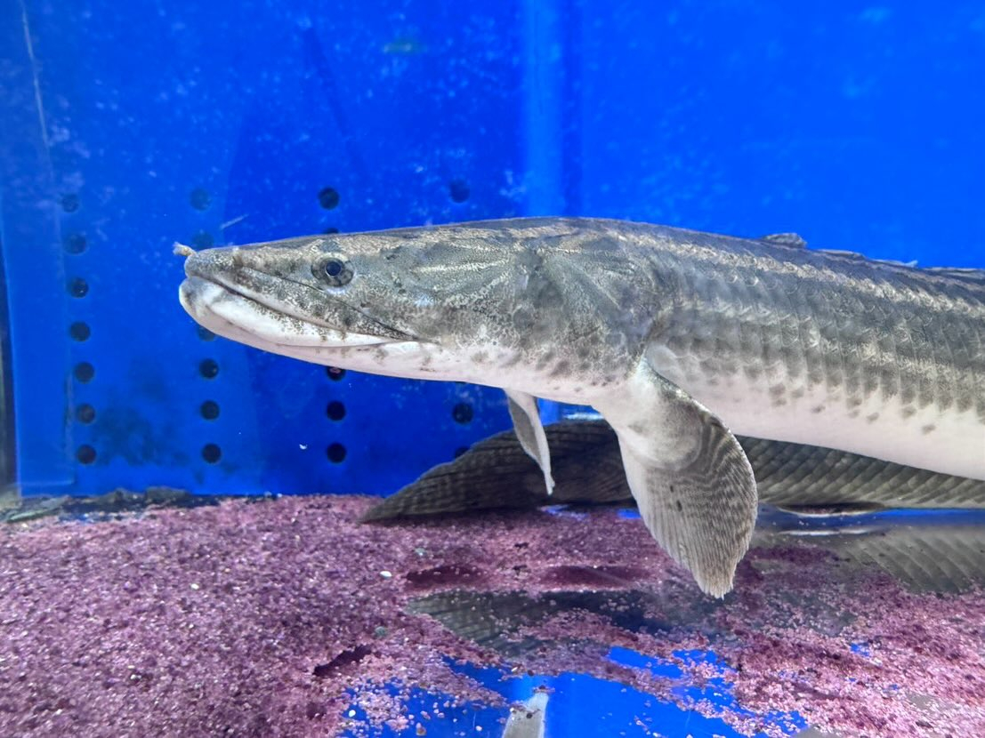 🏖SUMMER SALE☀️