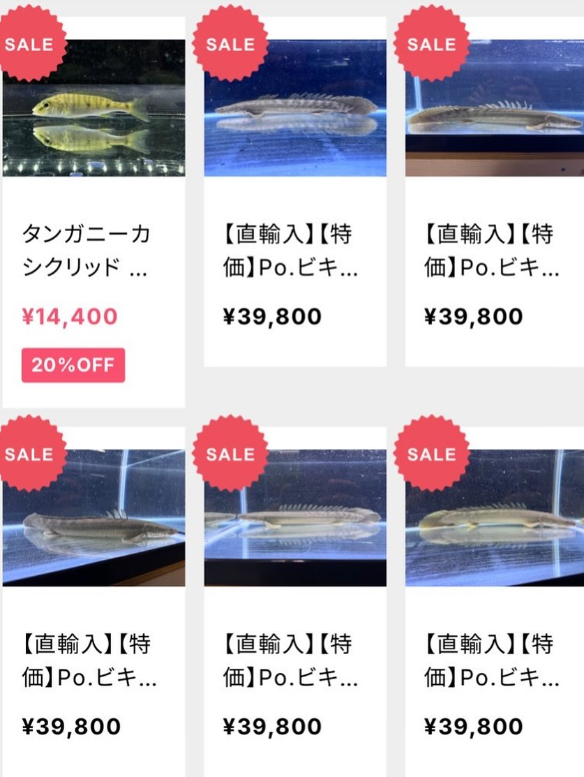 aquastyleg.base.shop