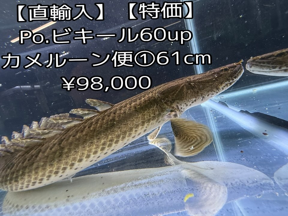 aquastyleg.base.shop