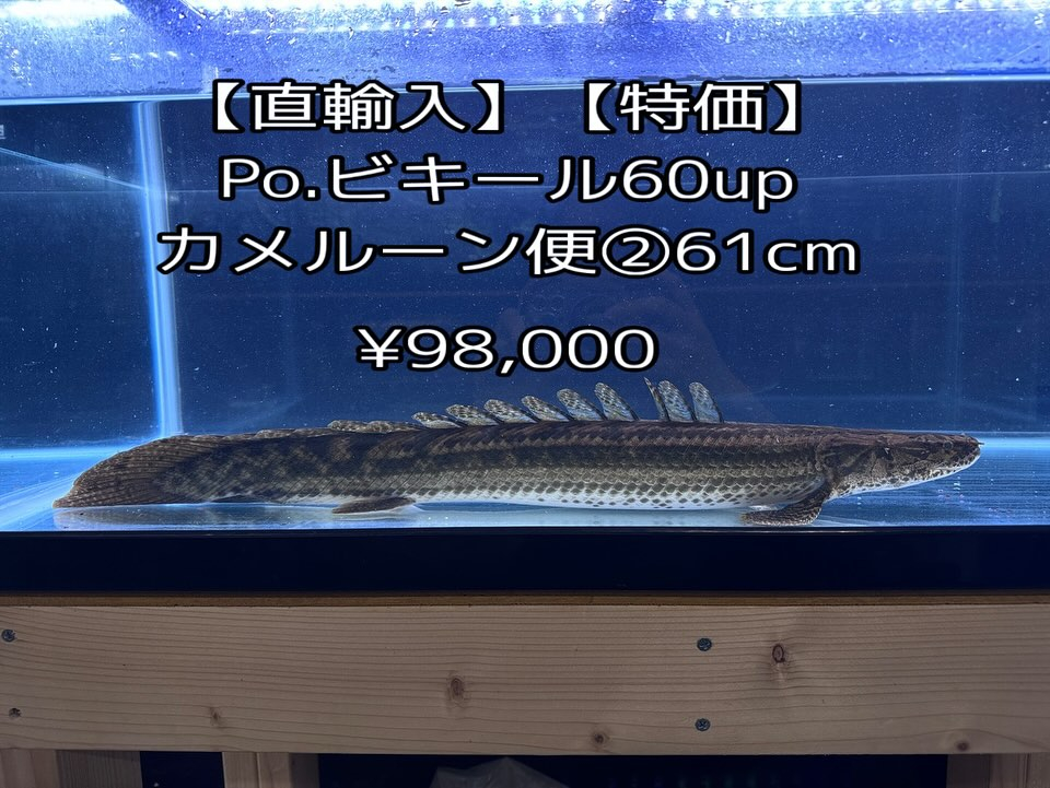 aquastyleg.base.shop