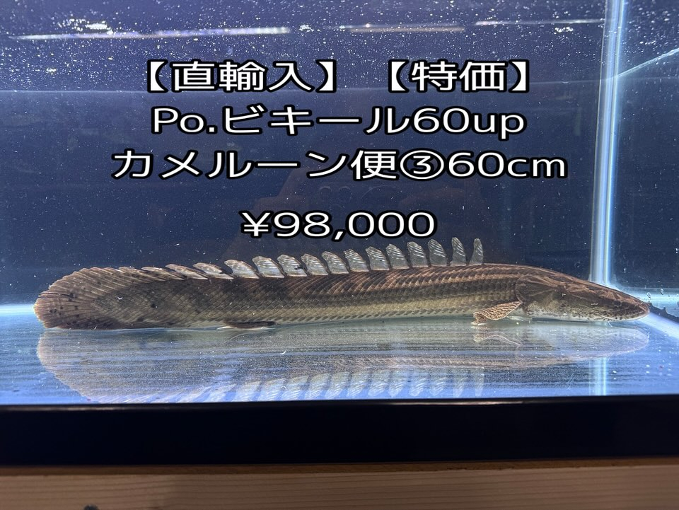 aquastyleg.base.shop