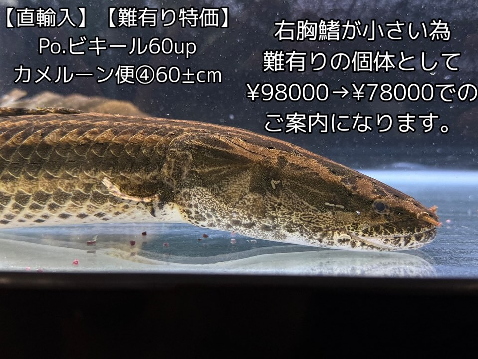 aquastyleg.base.shop