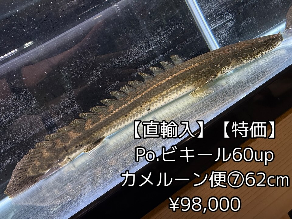 aquastyleg.base.shop