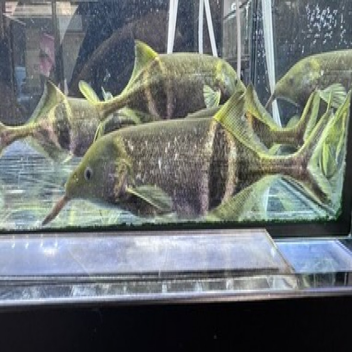 aquastyleg.base.shop/items/116...