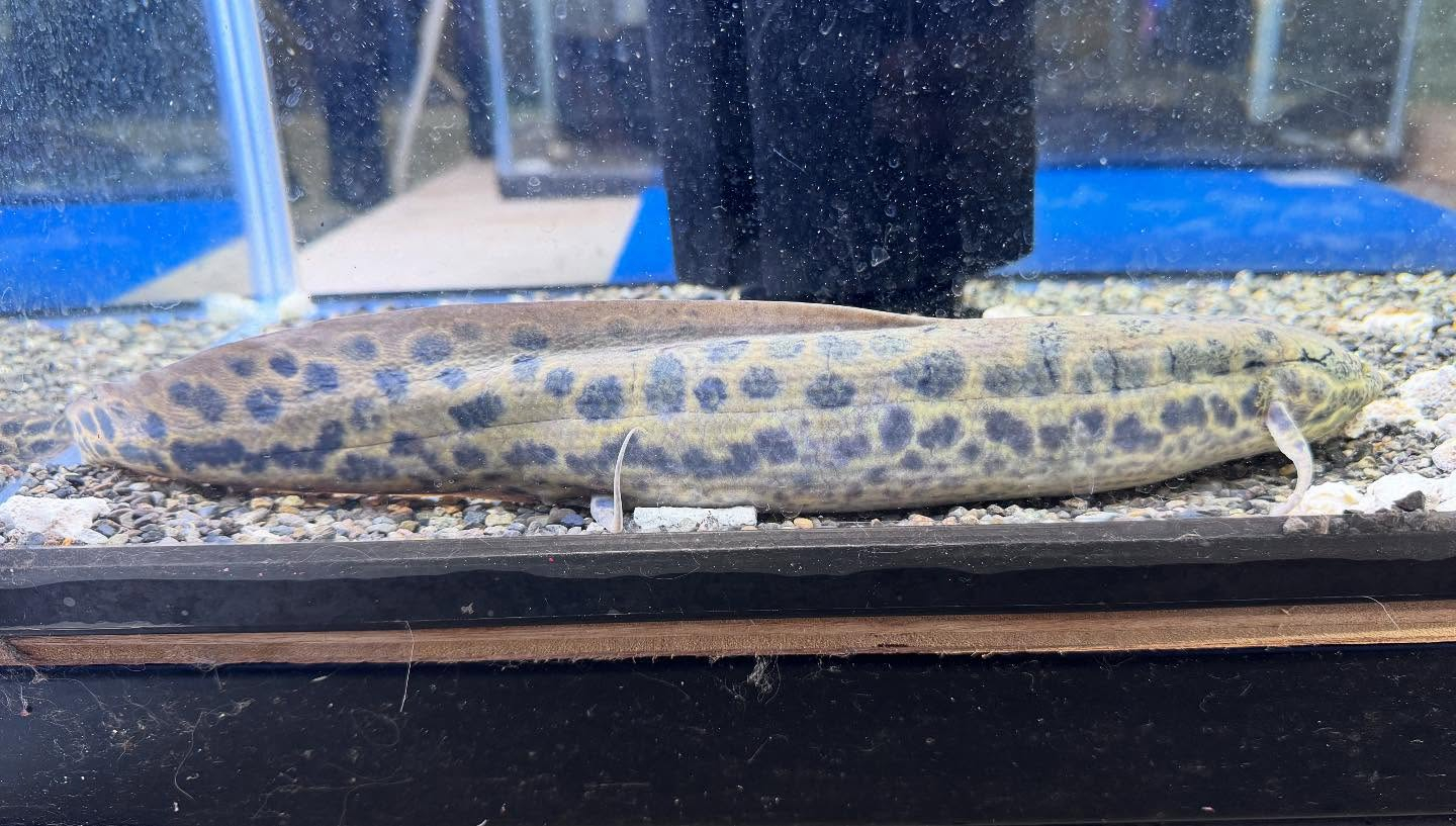 aquastyleg.base.shop/items/108...