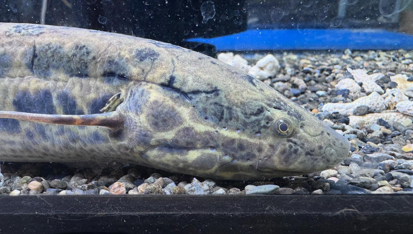 aquastyleg.base.shop/items/108...