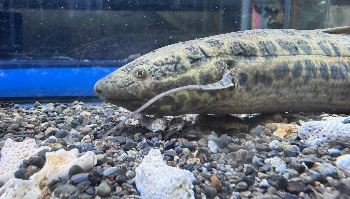 aquastyleg.base.shop/items/108...