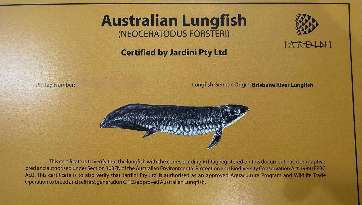 aquastyleg.base.shop/items/117...