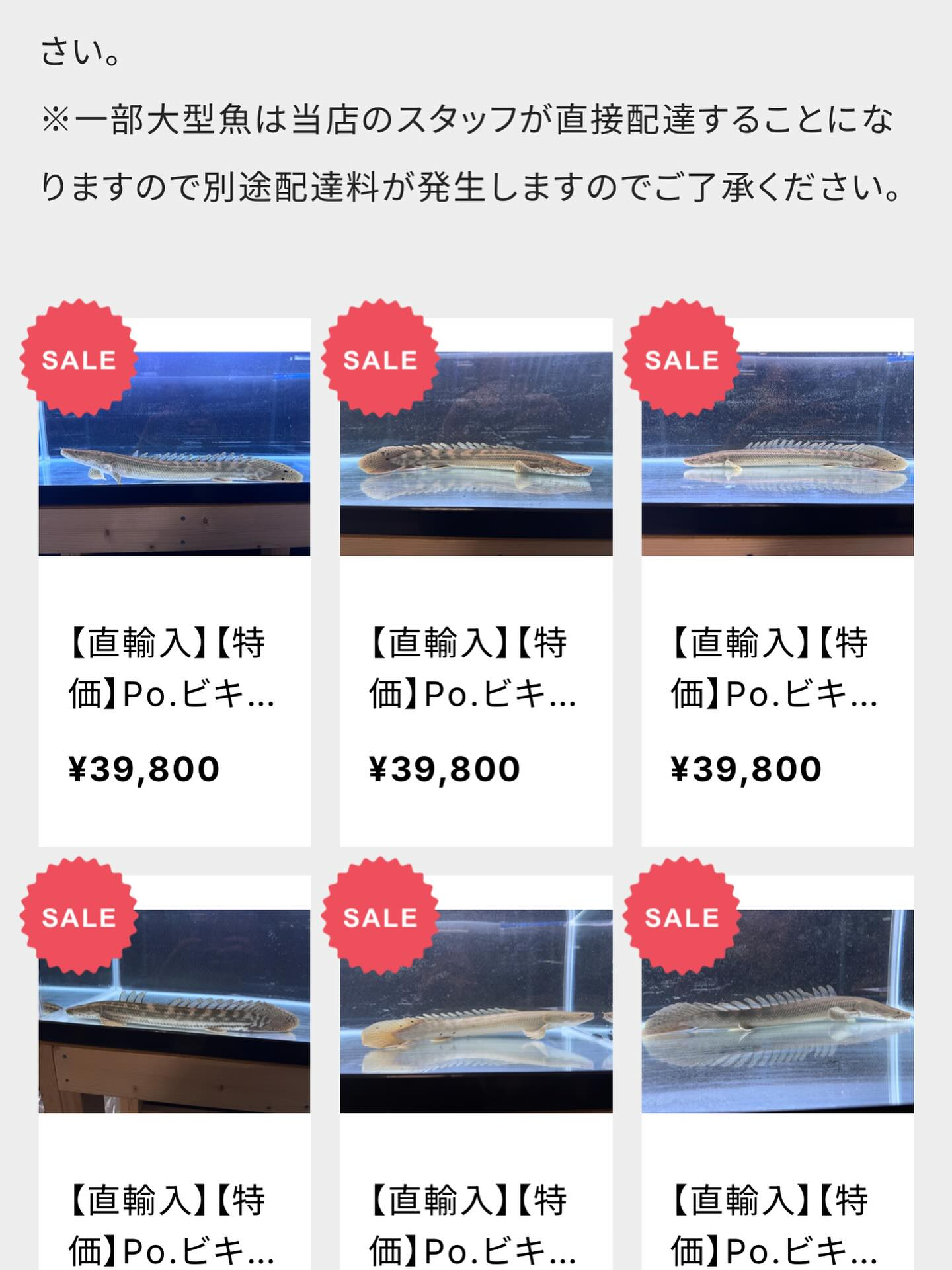 Po.ビキール カメルーン便 40up 再撮影のお知らせ☆
