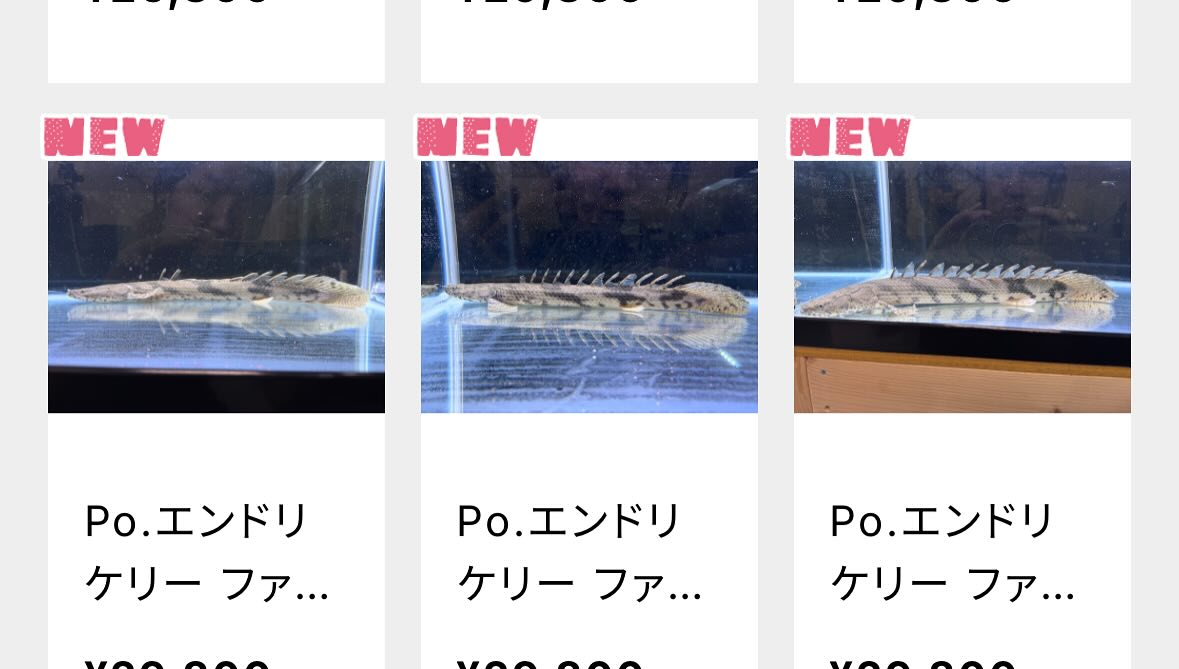 aquastyleg.base.shop/search