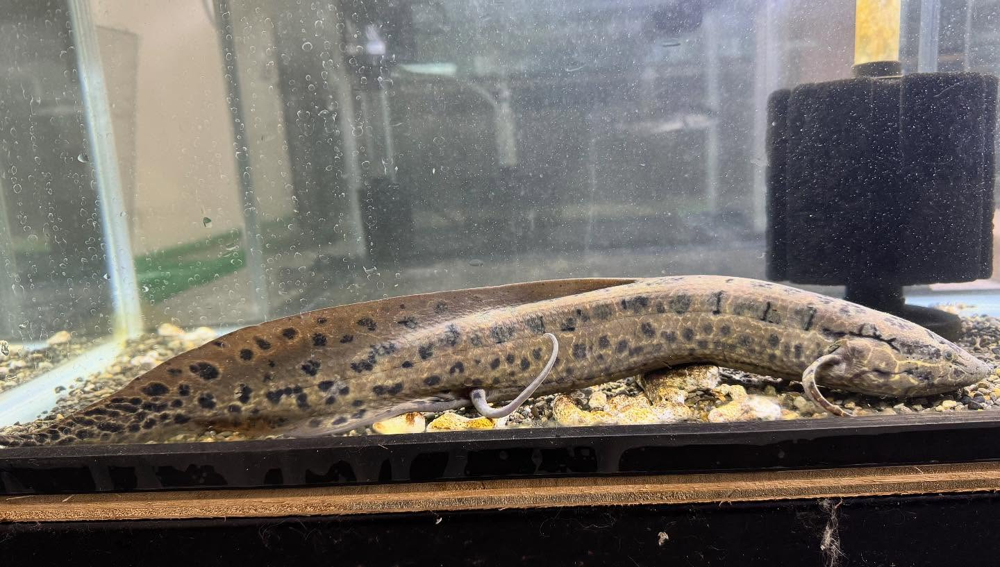 aquastyleg.base.shop/items/108...