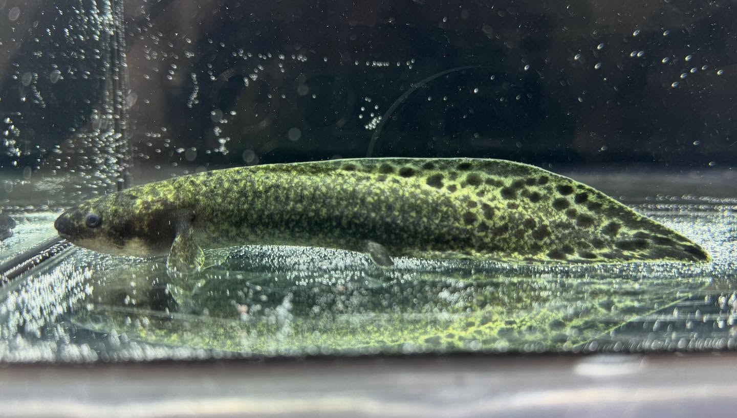 aquastyleg.base.shop/items/120...