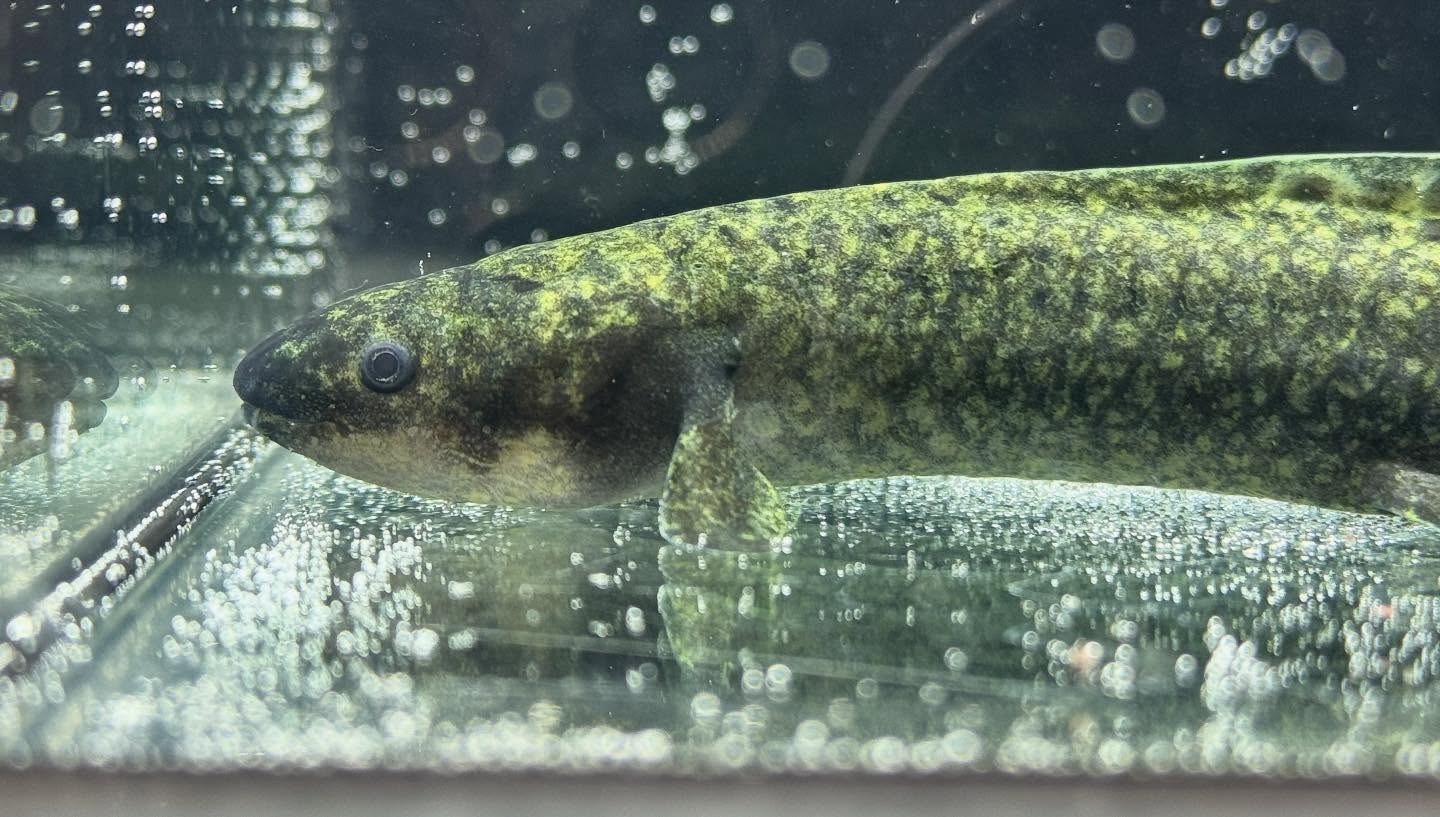 aquastyleg.base.shop/items/120...