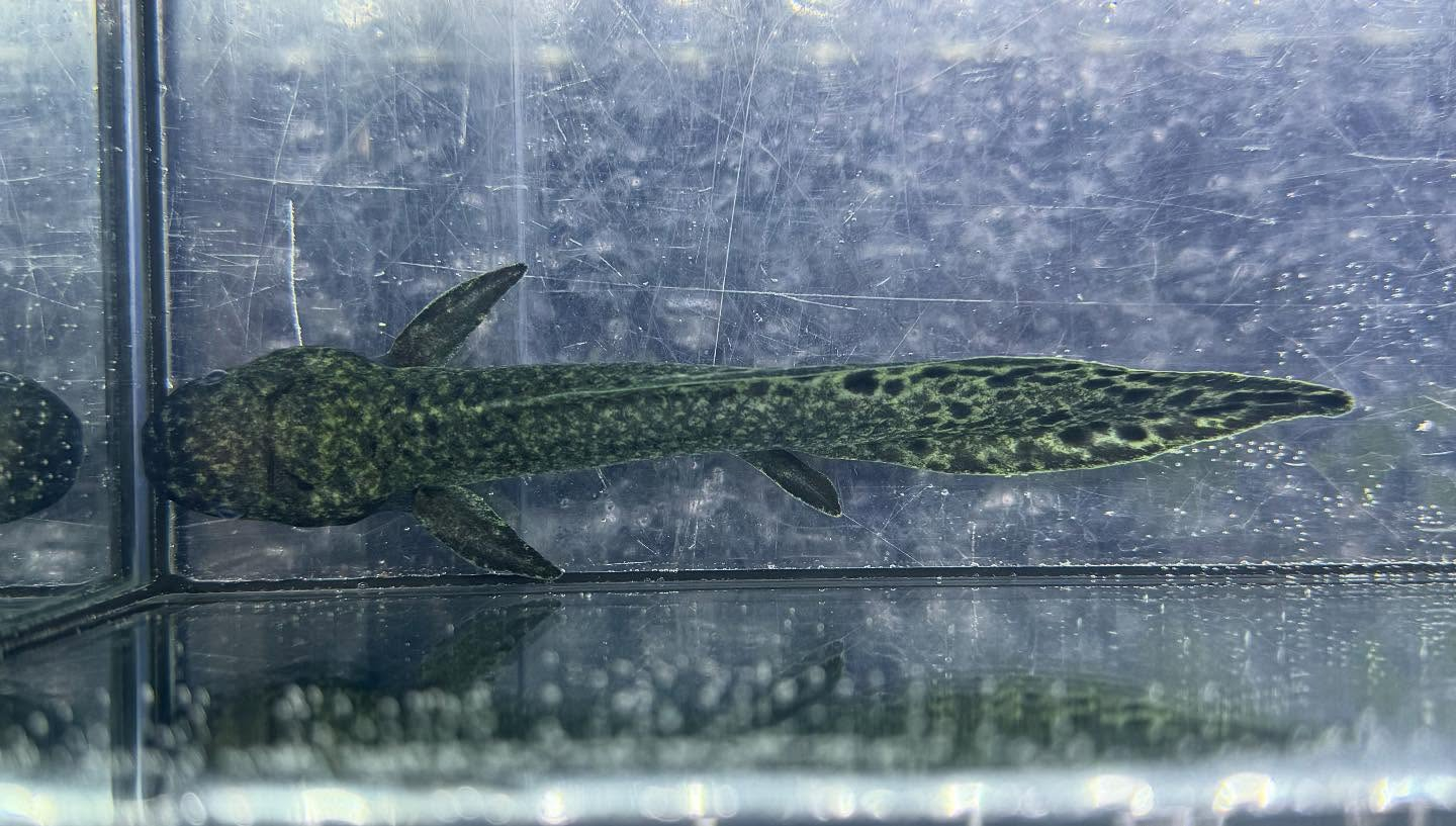 aquastyleg.base.shop/items/120...