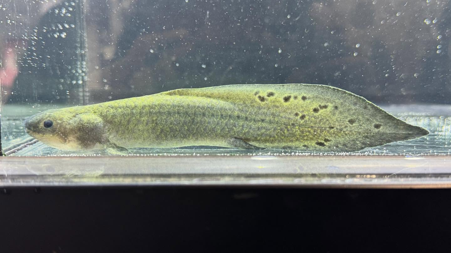 aquastyleg.base.shop/items/120...