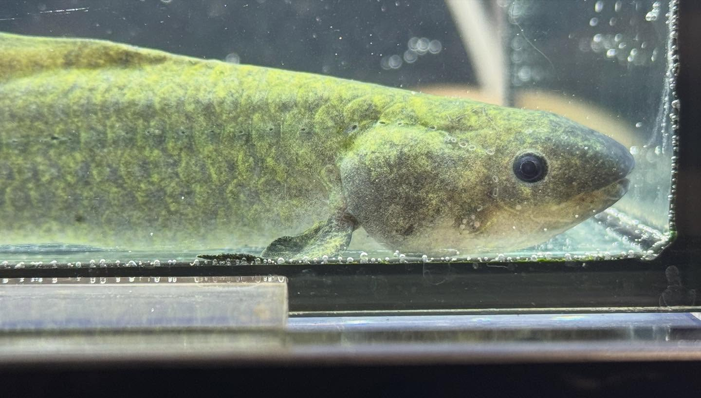 aquastyleg.base.shop/items/120...