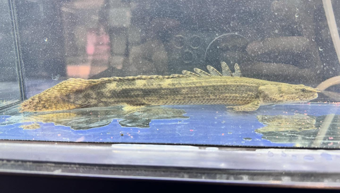 aquastyleg.base.shop/items/122...