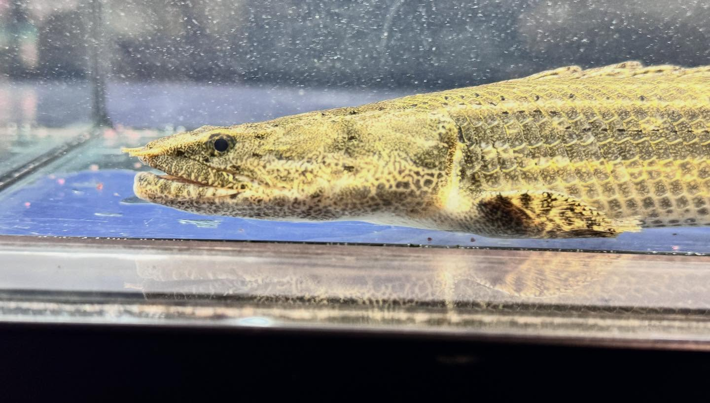 aquastyleg.base.shop/items/122...