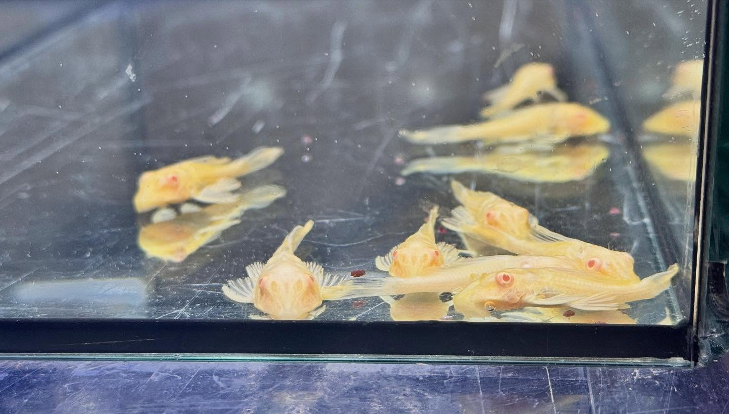 おはようございます🌤