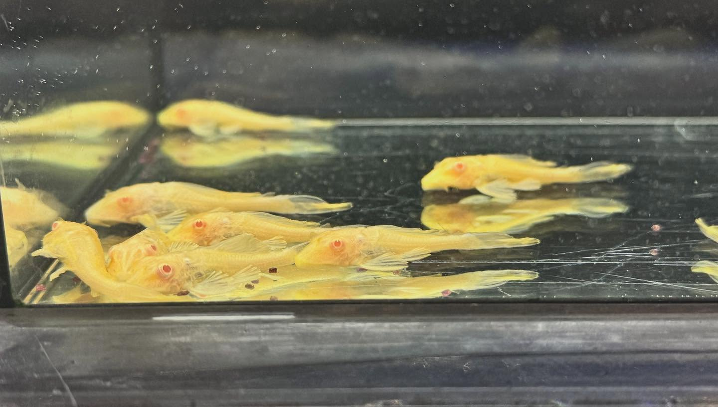 おはようございます🌤