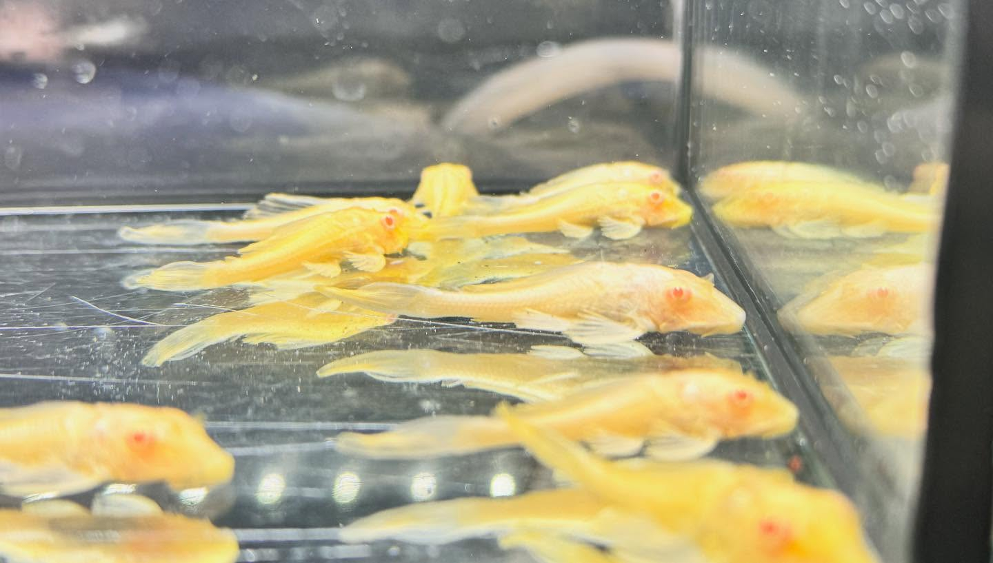 おはようございます🌤