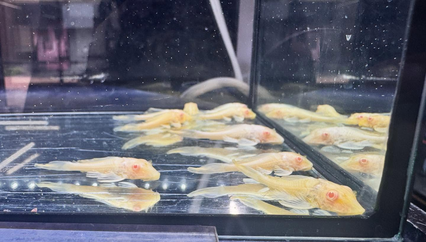 おはようございます🌤