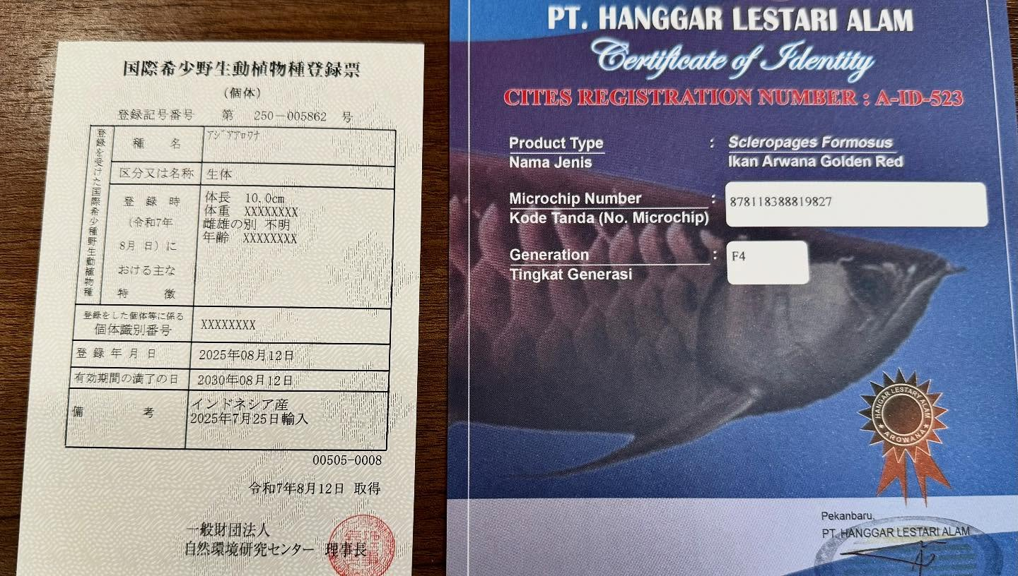 aquastyleg.base.shop/items/123...