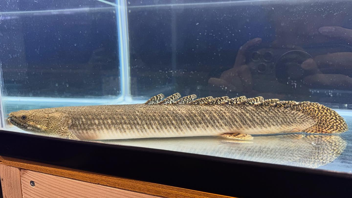 aquastyleg.base.shop/items/124...