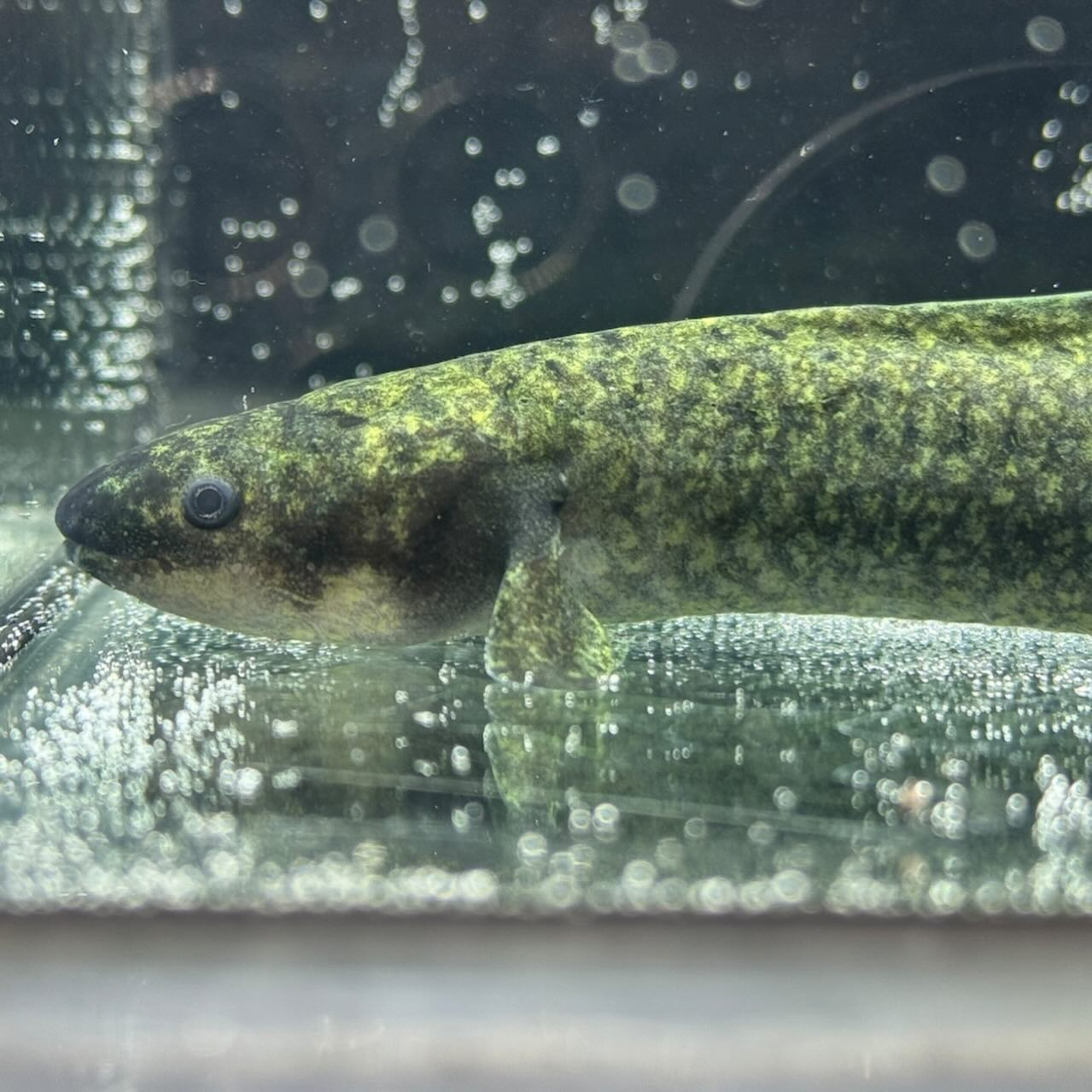 ★ボーナスSALE★